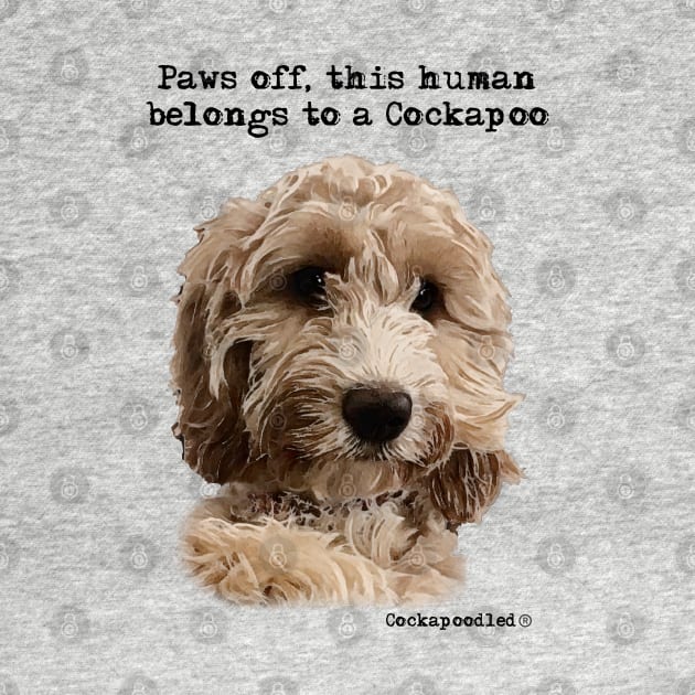 Cockapoo Dog by WoofnDoodle 